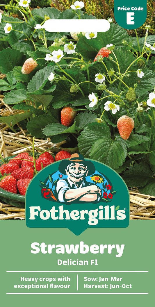 Fothergills Strawberry Delician F1 Seeds