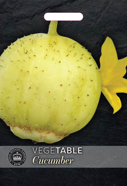 Thompson & Morgan Kew Vegetable Cucumber Crystal Apple - 30 Seeds