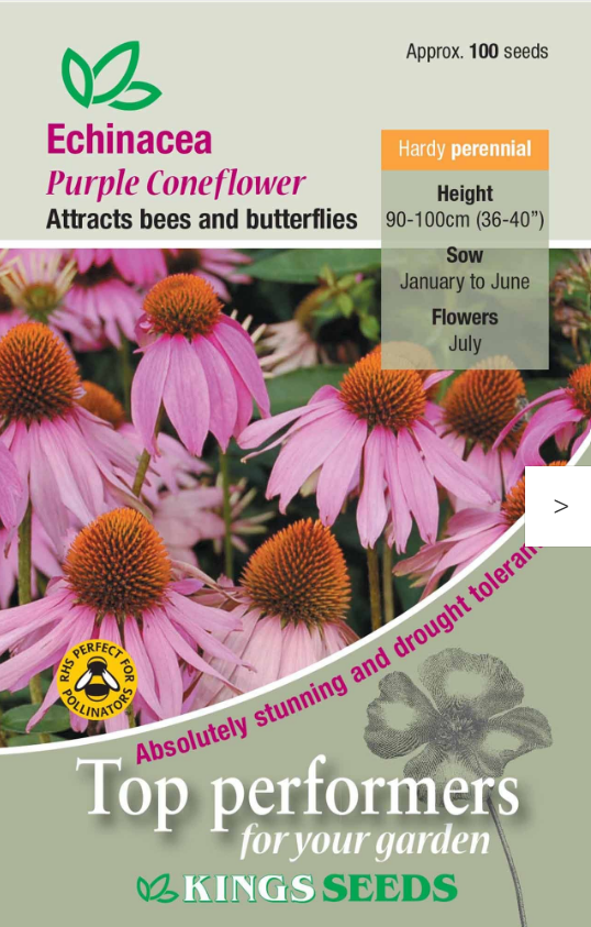 Kings Seeds Echinacea Purple Coneflower 100 Seeds