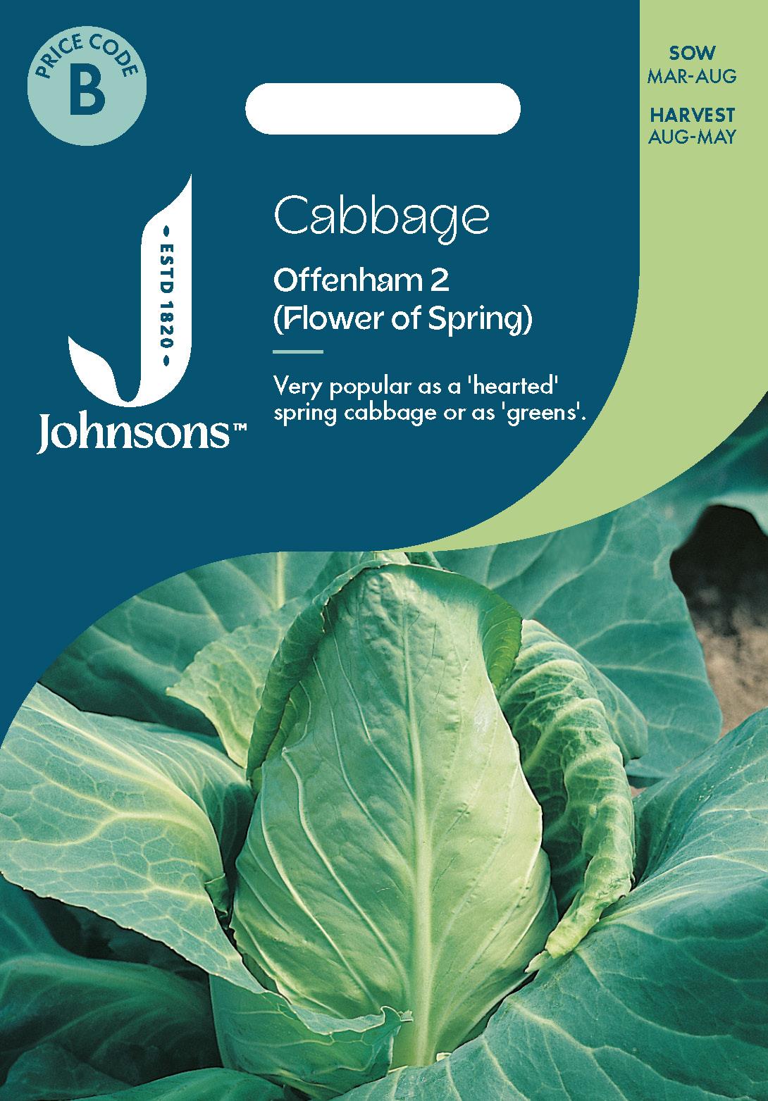 Johnsons - Cabbage Offenham 2 (flower of Spring) - 350 Seeds