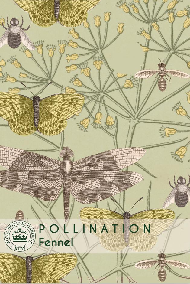 Thompson & Morgan Kew Pollinators Vegetable Fennel - 250 Seeds