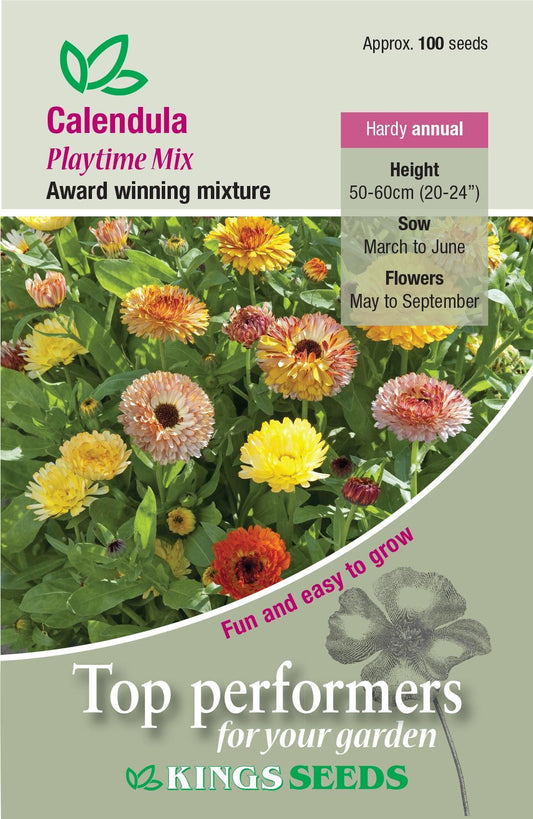 Kings Seeds  Calendula Playtime Seeds