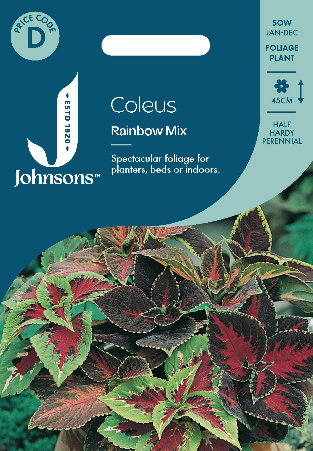 Johnsons - Coleus Rainbow Mix - 100 Seeds