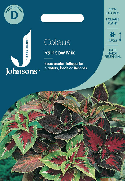 Johnsons - Coleus Rainbow Mix - 100 Seeds