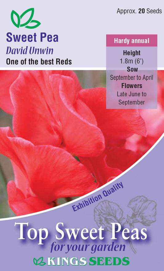 Kings Seeds Sweet Pea Mollie Rilestone 20 Seeds