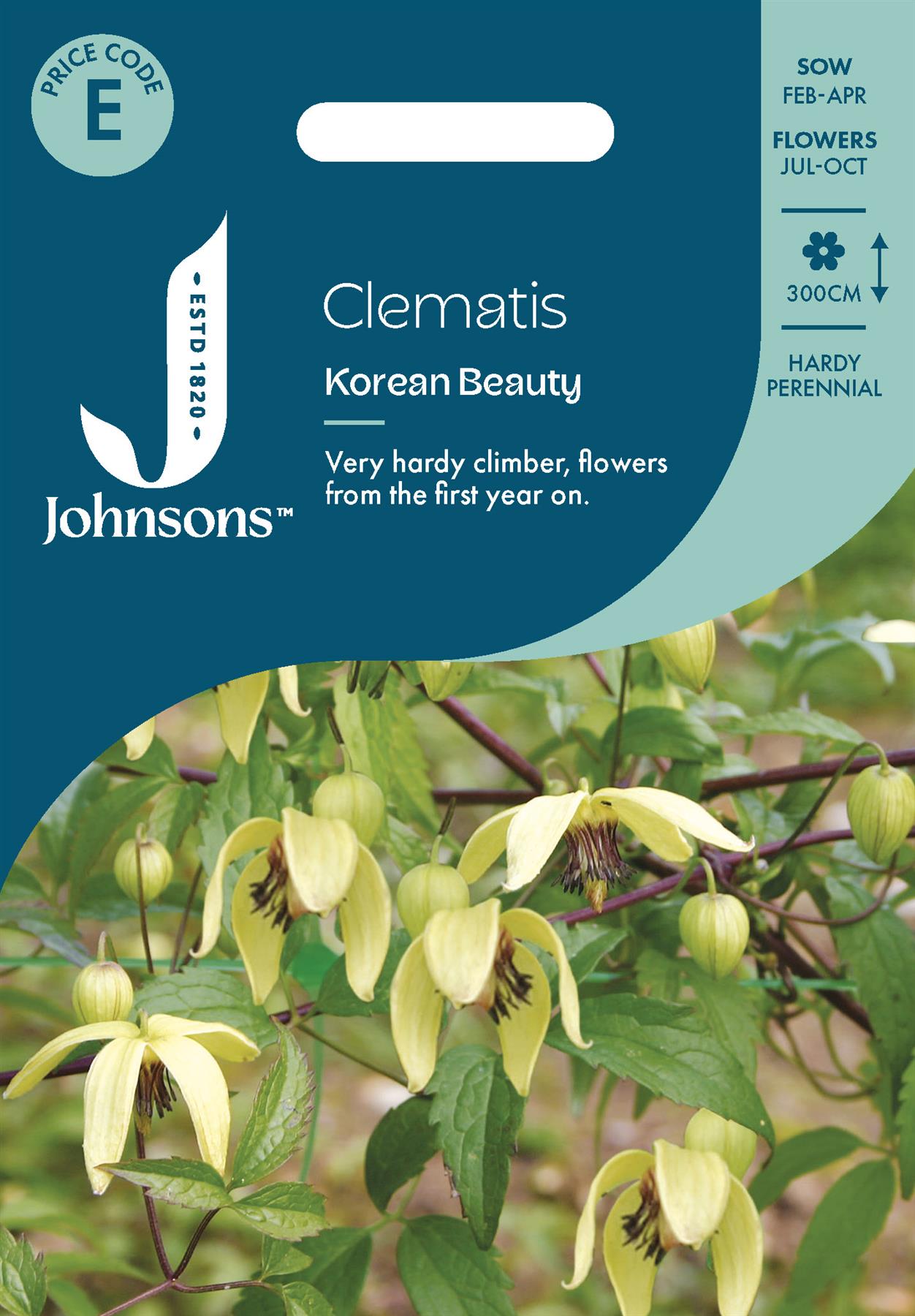 Johnsons - Clematis Chiisanensis Korean Beauty - 35 Seeds