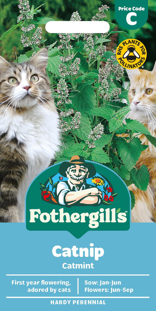 Fothergills Catmint Catnip Seeds