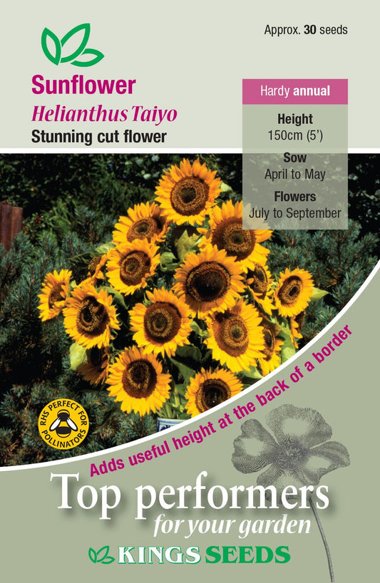 Kings Seeds  Sunflower Taiyo Seeds