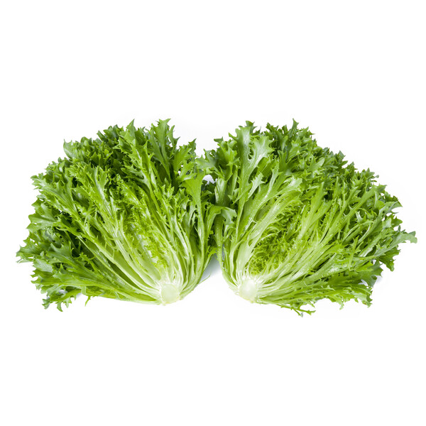 Lettuce Incised Leaf Salanova Exaudio RZ Untreated Seeds