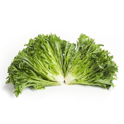 Lettuce Incised Leaf Salanova Excavo RZ Seed