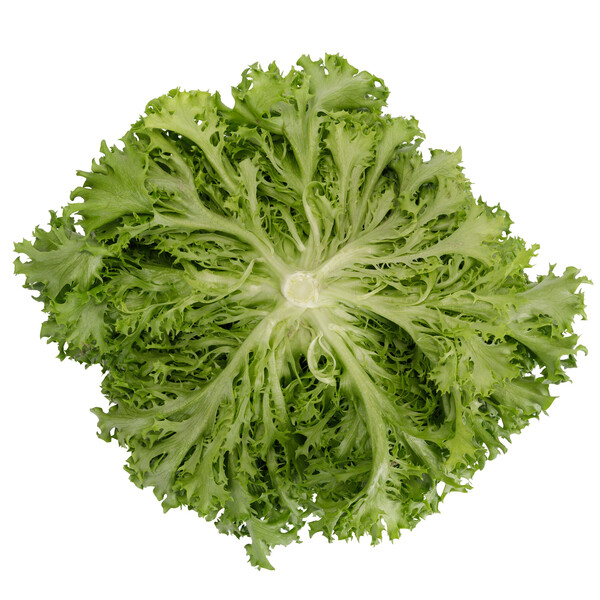 Lettuce Green Salanova Crispy Incised Excuria RZ Seeds