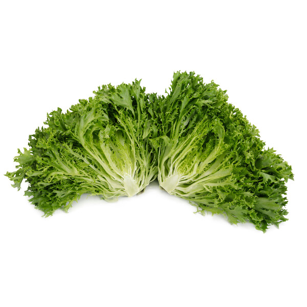 Lettuce Green Salanova Crispy Incised Excuria RZ Seeds