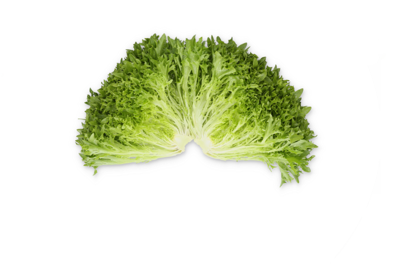 Lettuce Salanova Exframe RZ (79-IN1004) Seeds