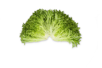 Lettuce Salanova Exframe RZ (79-IN1004) Seeds