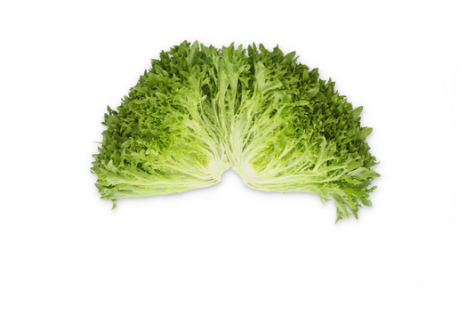 Lettuce Salanova Exframe RZ (79-IN1004) Seeds