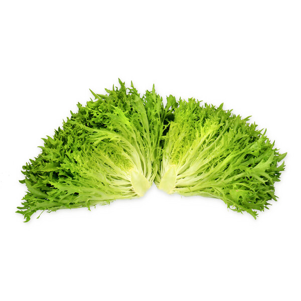 Lettuce Green Salanova Exonic RZ Seeds