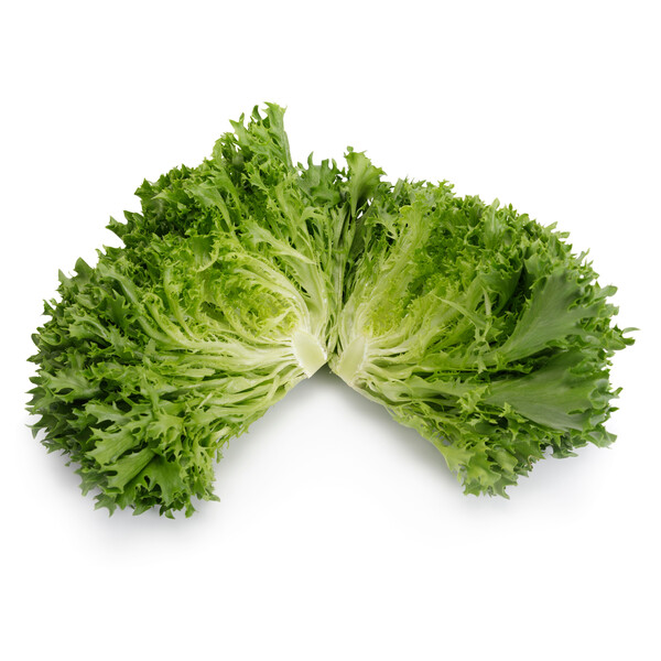 Lettuce Incised Leaf Salanova Extranet RZ Seeds