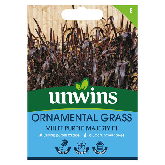 Unwins Flower Ornamental Grass Millet Purple Majesty F1 Hybrid - 8 Seeds