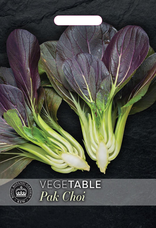 Thompson & Morgan Kew Vegetable Pak Choi, Purple Rain F1 - 250 Seeds