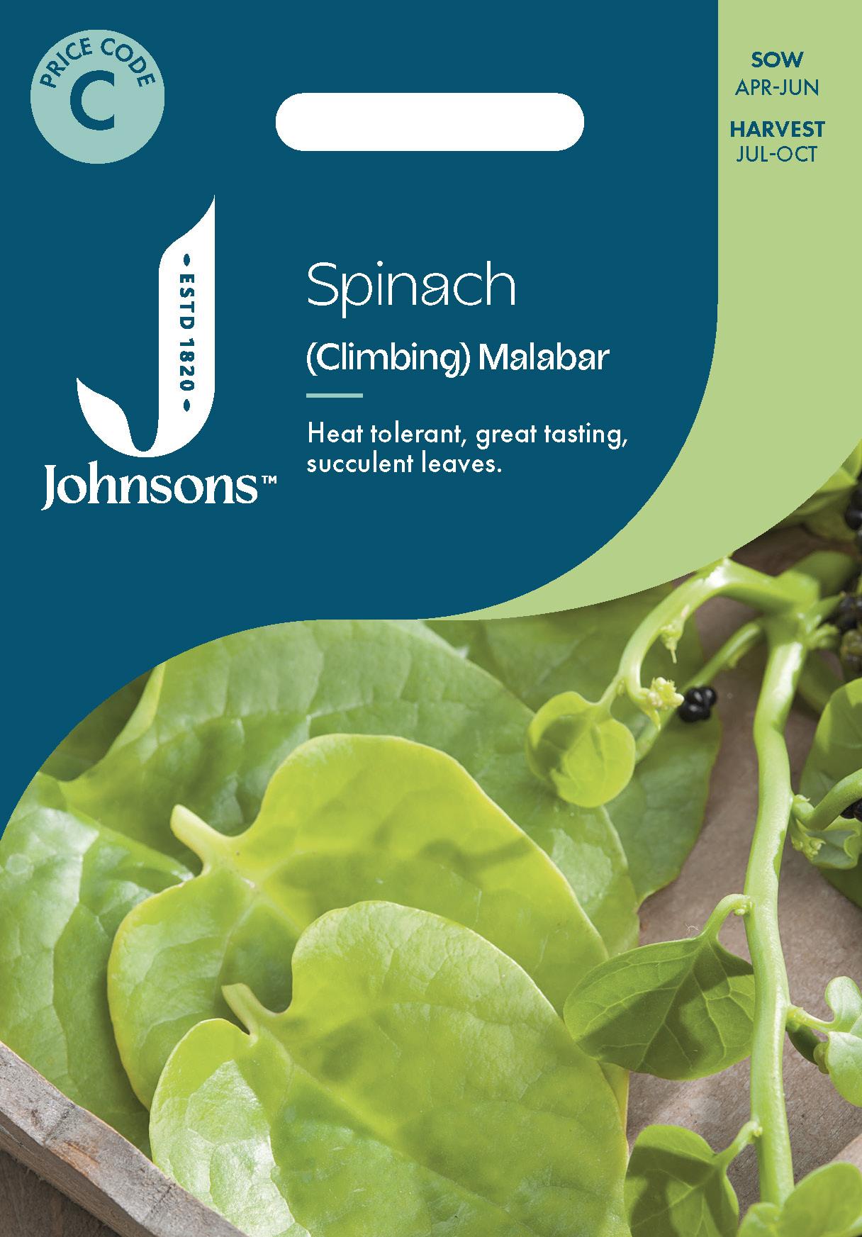 Johnsons - Spinach (climbing) Malabar Spinach - 50 Seeds