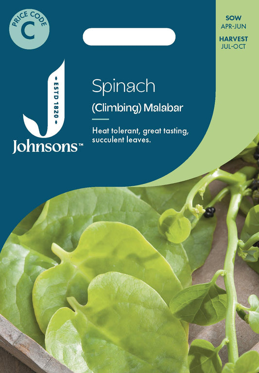 Johnsons - Spinach (climbing) Malabar Spinach - 50 Seeds