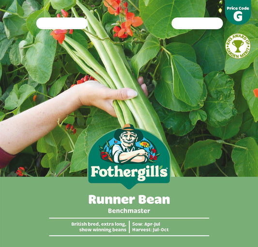 Fothergills Runner Bean Benchmaster Seeds