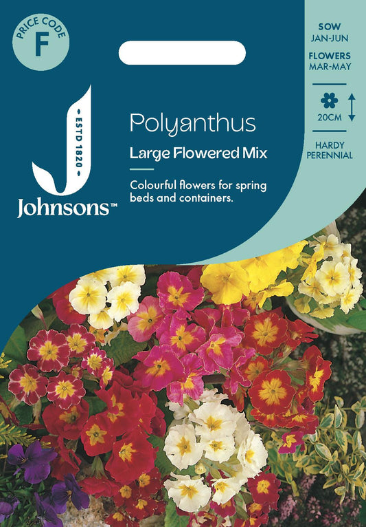 Johnsons - Polyanthus Large Flowered Mix - 100 Seeds