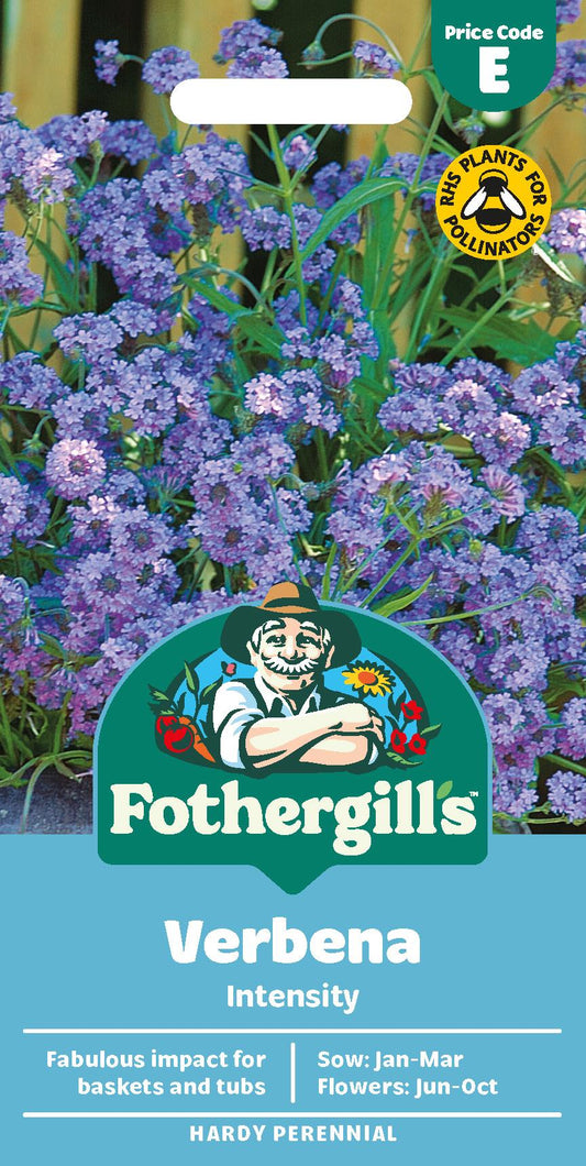 Fothergills Verbena Intensity Seeds