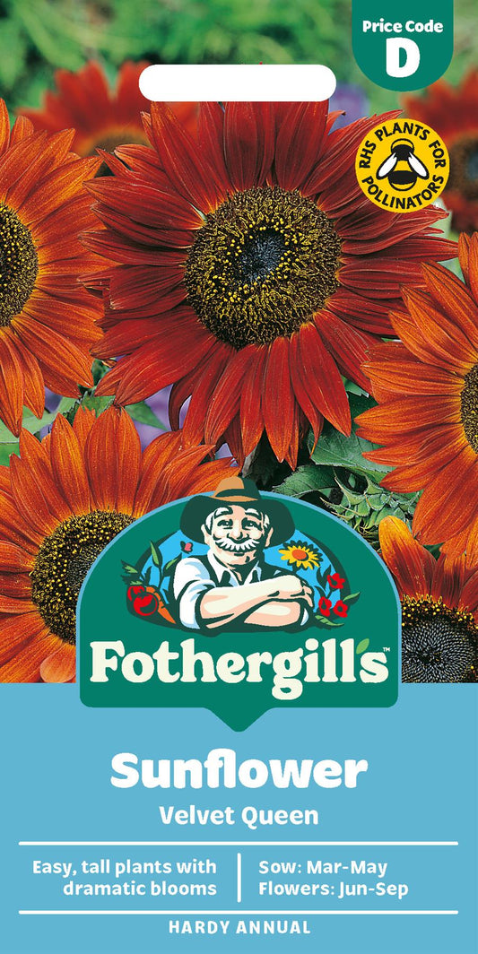 Fothergills Sunflower Velvet Queen Seeds