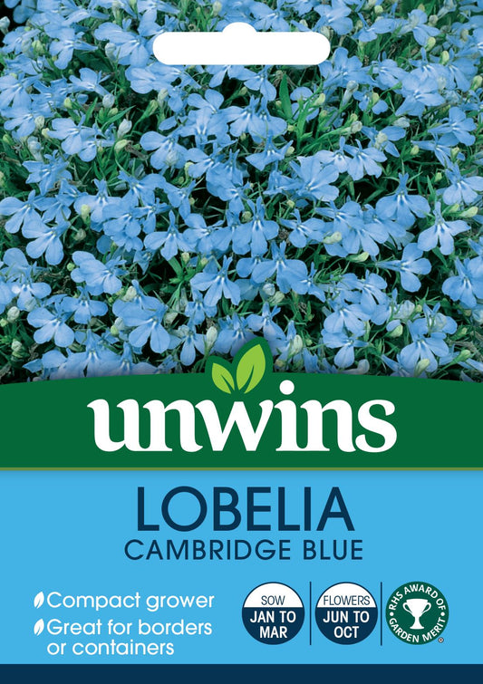 Unwins Lobelia Cambridge Blue (Bush) 1000 Seeds