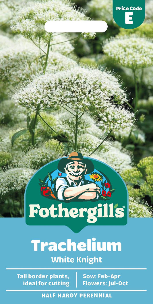 Fothergills Trachelium White Knight Seeds