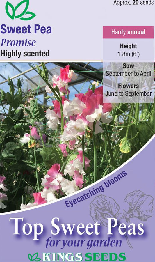 Kings Seeds Sweet Pea Promise 20 Seeds
