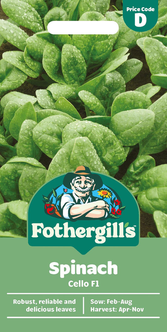 Fothergills Spinach Cello F1 Seeds
