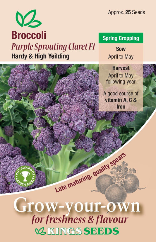 Kings Seeds  Broccoli Purple Sprouting Claret F1 Seeds