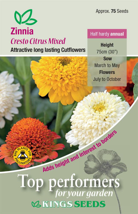 Kings Seeds Zinnia Cresto Citrus Mixed Seeds