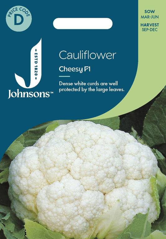 Johnsons - Cauliflower Cheesy F1 - 50 Seeds