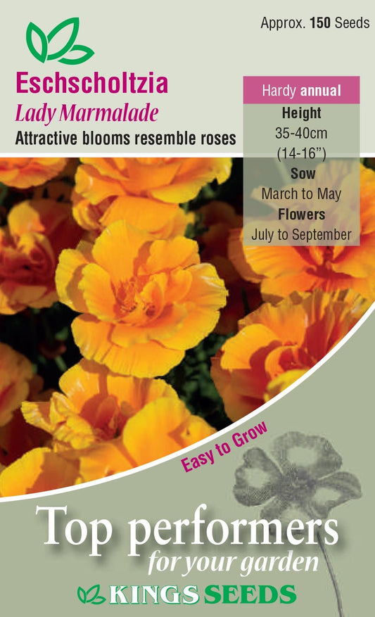 Kings Seeds  Eschscholtzia Lady Marmalade Seeds