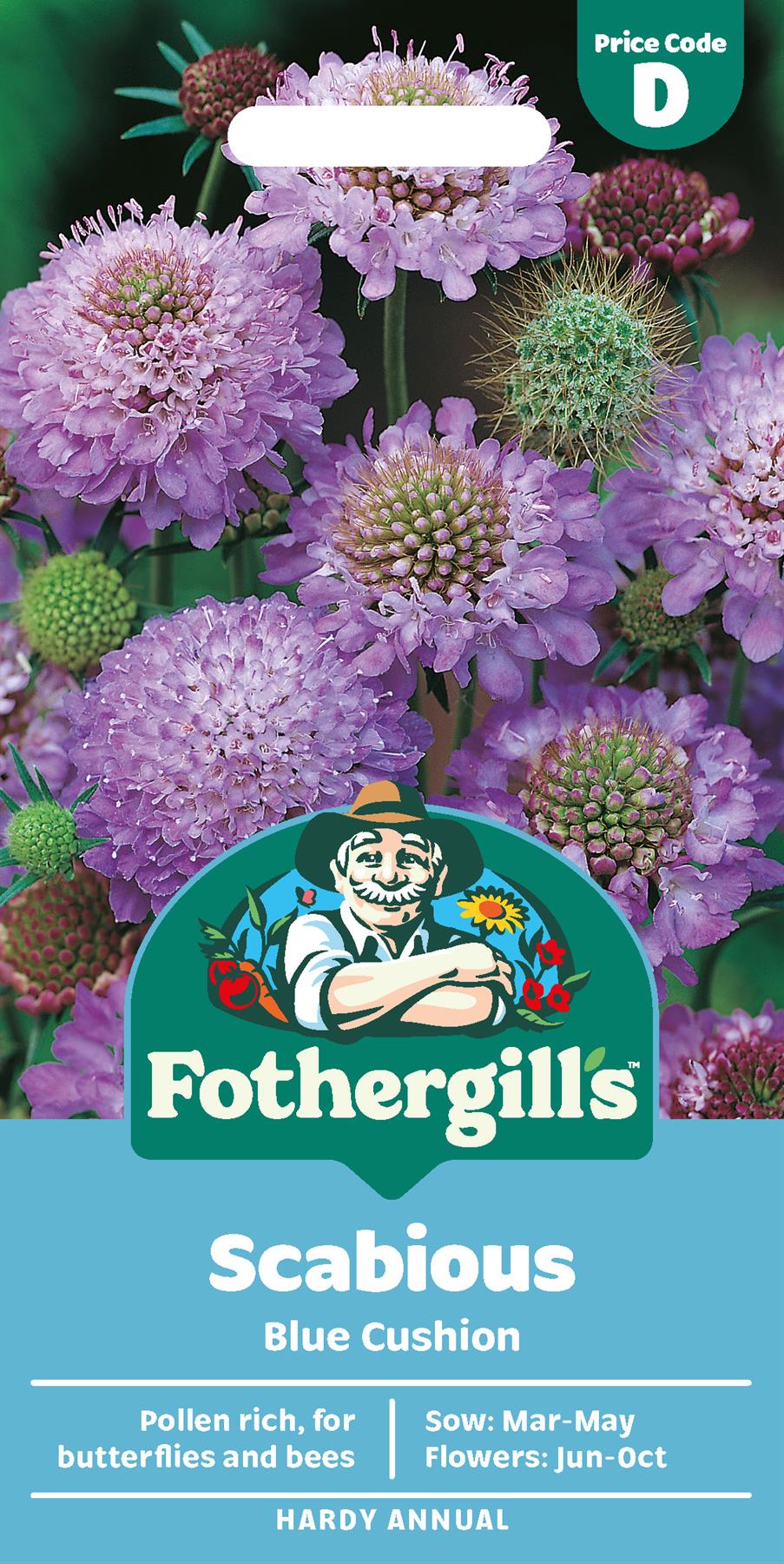 Fothergills Scabious Blue Cushion Seeds