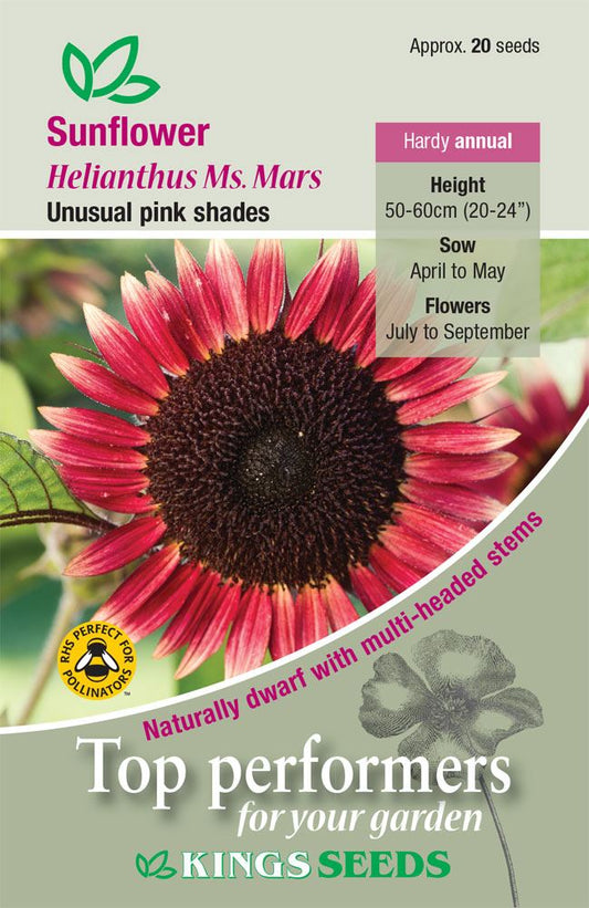 Kings Seeds  Sunflower Ms Mars Seeds