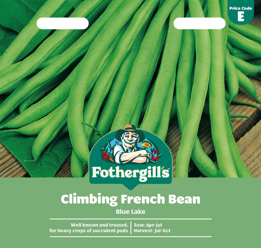 Fothergills Climbing French Bean Blue Lake Seeds