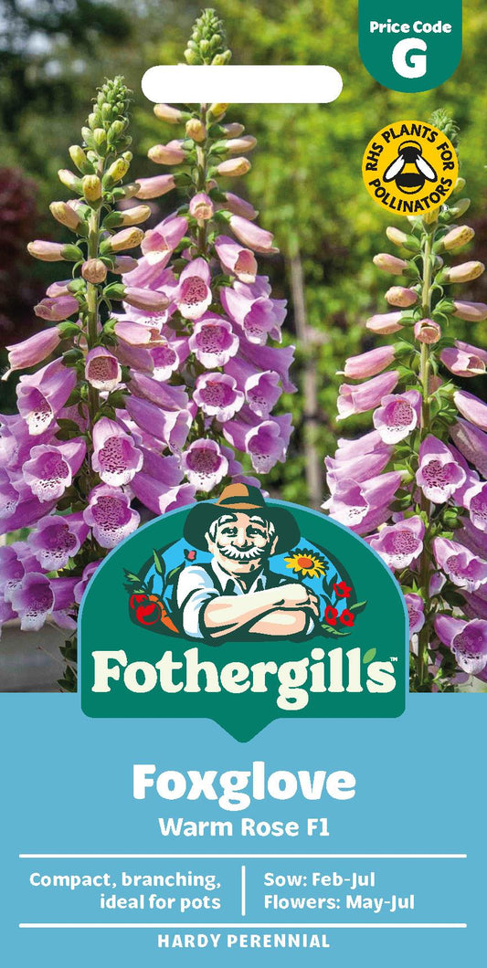 Fothergills Foxglove Warm Rose F1 Seeds