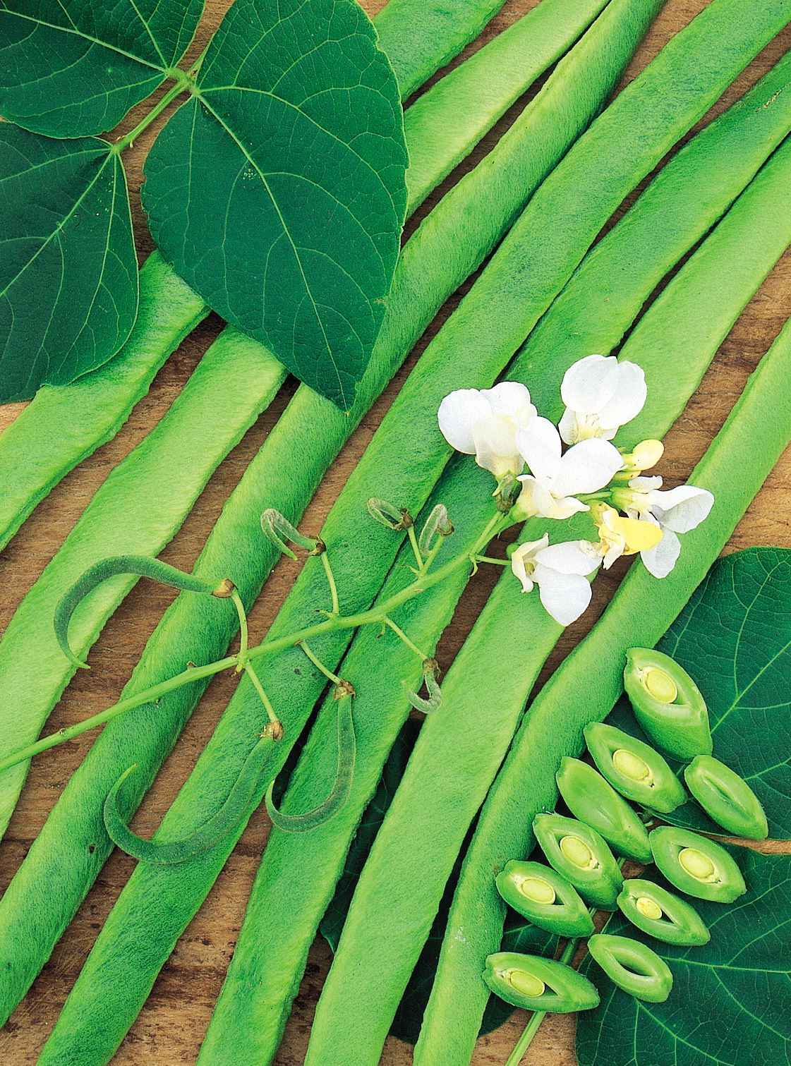 Unwins - Vegetable - Runner Bean White Lady Seeds