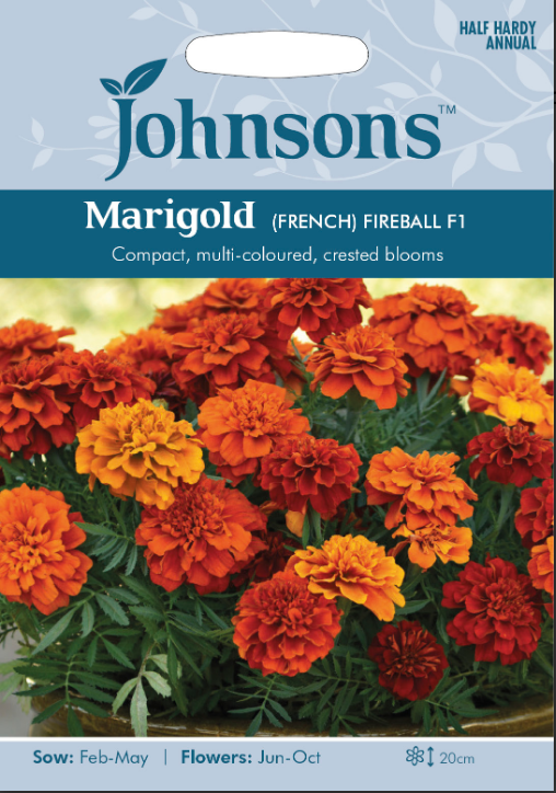 Johnsons Seeds - Flower - Marigold (French) - Fireball F1 Seeds