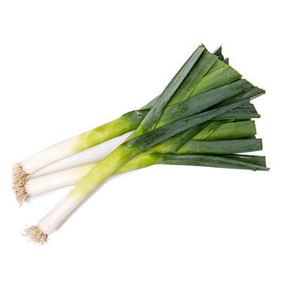 RZ Leek Seed