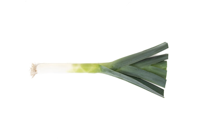 Leek Floccus RZ F1 Hybrid (38-LE005) Seeds