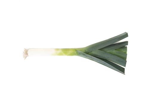 Leek Floccus RZ F1 Hybrid (38-LE005) Seeds