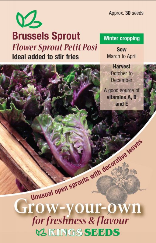 Kings Seeds Brussels Sprout Flower Sprouts 30 Seeds