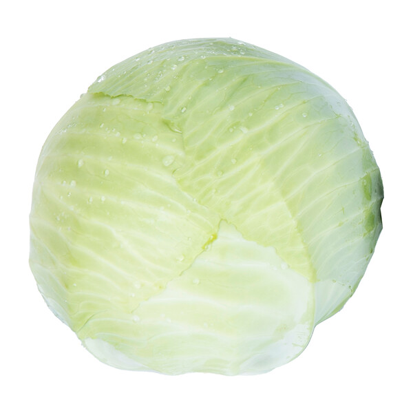 Cabbage Foxma RZ F1 (30-737) Untreated Seeds