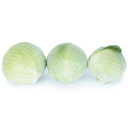 Cabbage Foxma RZ F1 (30-737) Untreated Seeds