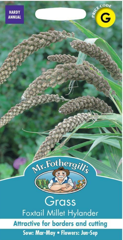 Mr Fothergills Millet (Foxtail) Hylander Seeds